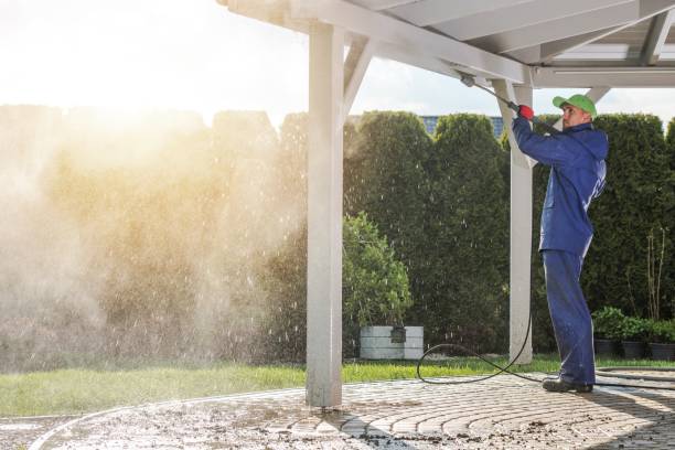 Best Factory Floor Cleaning  in Gaylord, MN
