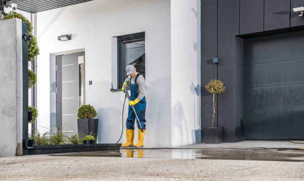 Best Paint Preparation  in Gaylord, MN