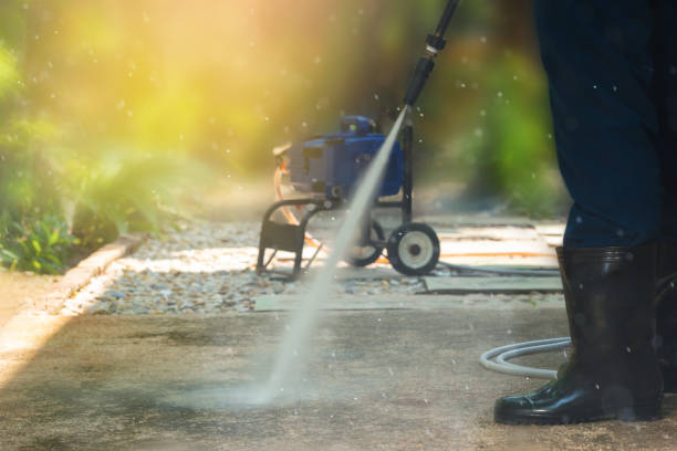 Best Gutter Cleaning  in Gaylord, MN